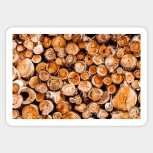 Wood Logs Stacked High & Dry Sticker